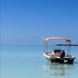 Meet your Posher, Nancy